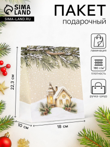 Пакет подарочный новогодний ламинированный, «Новогодний дом», 18?10?22.3 см