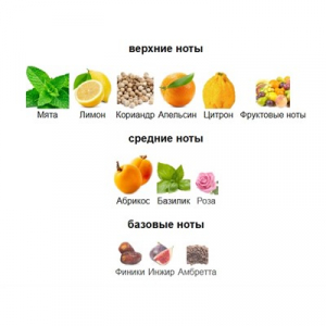 5ML RABDAN CHILL VIBES edp отливант