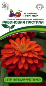 3381P Цинния РЯБИНОВАЯ ПАСТИЛА / мариландская махровая 5шт