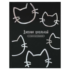 Дневник школьный, А5+, 48 л, твёрдый переплёт, тиснение фольгой, глянцевая ламинация