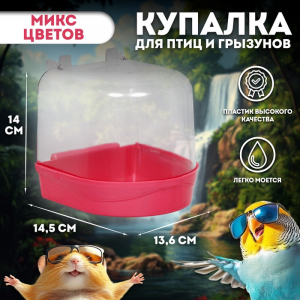 Купалка для птиц, 145?136?140 мм, пластик, цвет МИКС