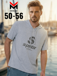 футболка мужская 2973-03 Новинка