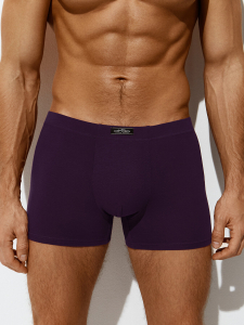 Omsa Трусы OmB 1233 Боксеры мужские с закрытой резинкой, CO
