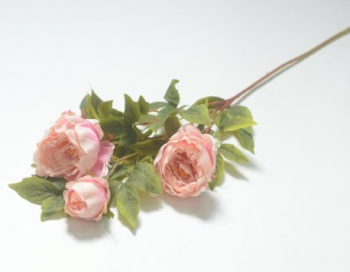 Искусственные цветы, Ветка пион 4 гол.+ 1 бут. (1010237)