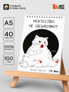 Скетчбук А5, 40 л 100 г/м? «Кот»