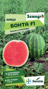 8041N Арбуз Бонта F1 5шт