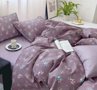 Комплект постельного белья Винтажный сад сатин