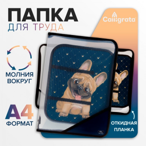 Папка для труда А4, 325 х 230 х 25 мм, молния вокруг, откидная планка, пластиковая, ПТР-1, Calligrata 