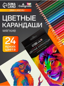 Карандаши Calligrata, цветные, 24 цвета, супермягкие, диаметр грифеля 3 мм, 5B, МИКС