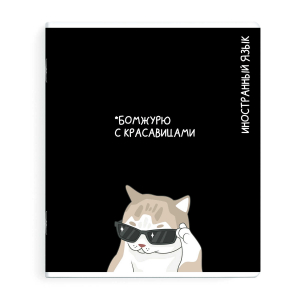 Тетрадь предметная арт. 69829/ ИНОСТРАННЫЙ ЯЗЫК /48 л., А5+, вн.блок - клетка, выборочный ТВИН УФ-лак,