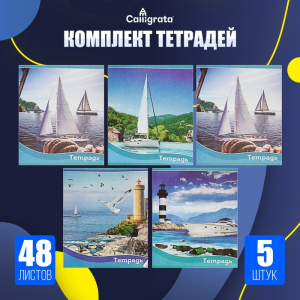 Тетради 48 листов в клетку «Корабли», обложка мелованная бумага, серые листы, 5 шт.