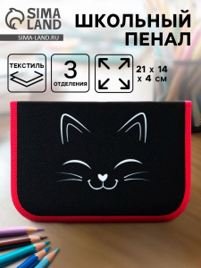 Пенал школьный, 3 секции, 14?21?4 см «Котик»
