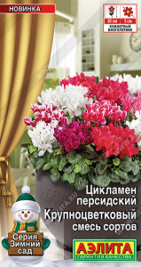 1730A Цикламен Крупноцветковый, смесь сортов 3 шт