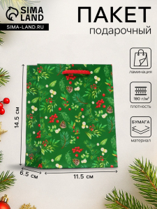 Пакет подарочный новогодний «Веточки», 11.5?14.5?6.5 см