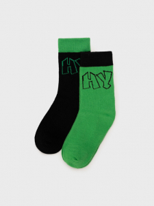 Носки для мальчика, 2 пары в комплекте