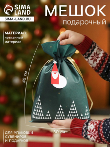 Мешок подарочный новогодний «Волшебный лес» зелёный, 30?45 см