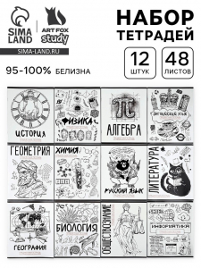 Тетради предметные, 48 л., набор из 12 шт., блок №1 «Скетчи»