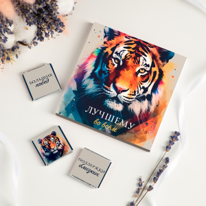 Набор 9 шоколадок 