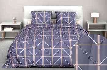 Пододеяльник Теорема серый бязь