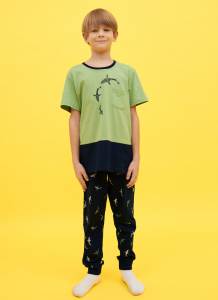 Комплект для мальчика ZEYZEY kids
