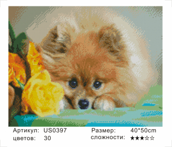 US0397 Без подрамника мозаика 40*50