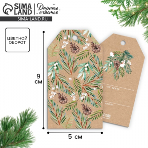 Открытка-шильдик новогодний на подарок «Шишечки», 5?9 см