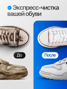 BRAUS Щетка-очиститель ЭКСПРЕСС-ОЧИЩЕНИЕ для обуви 100 мл
