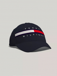 Flag Stripe Logo Baseball Cap