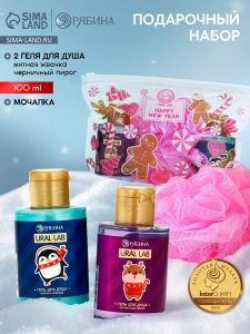 Подарочный набор новогодний, косметичка, гель для душа 2 шт х 100 мл и мочалка для тела, URAL LAB