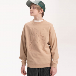 BFN3371/1 толстовка для мальчиков (1 шт в кор.)