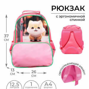 Рюкзак школьный, 37?26?13 см, эргономичная спинка, «Сиба»