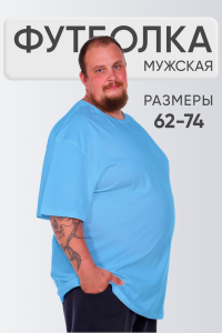 Футболка мужская однотонная