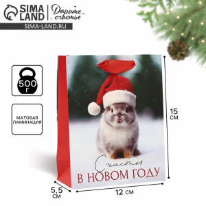 Пакет подарочный новогодний ламинированный «Счастья в Новом году», S 12?15?5.5 см