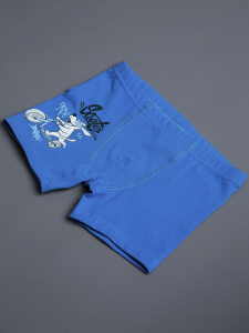 BATIK Трусы 030_НБЛ25