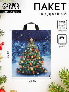 Пакет новогодний «Зимняя красавица», полиэтиленовый с петлевой ручкой, 28?35 см, 50 мкм