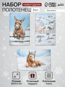 Набор кухонных полотенец «Доляна. Морозное утро», 28?44 см - 3 шт., вафля 160 г/м?