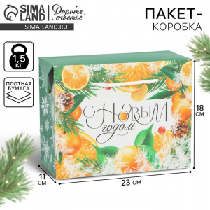 Пакет-коробка подарочный новогодний «С Новым годом», 23?18?11 см