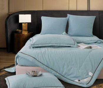 Одеяло Boris E-Shine Бархат Сатин с простыней на резинке по кругу и наволочками ODBORSH05