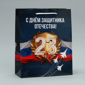 Пакет подарочный ламинированный, упаковка, «С 23 февраля», ML 21 х 25 х 8 см  9933747