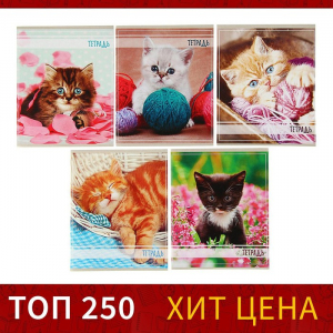 Тетрадь 36 листов в клетку Calligrata «Котята», МИКС