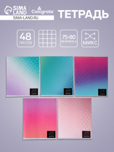 Тетрадь 48 листов в клетку, Calligrata «Мыльные пузыри», серые листы, МИКС