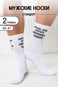 Носки мужские Школьные будни (набор 2 пары)