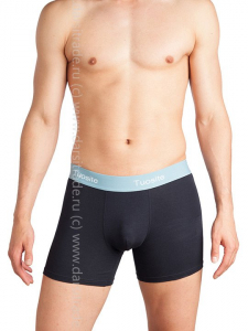 TS7820-2 Трусы мужские Дроп Tousite боксеры