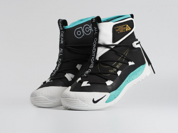 Зимние Кроссовки Nike ACG Air Terra Antarktik