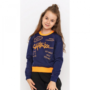 2901-037 Свитшот для девочек Cichlid