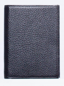 Обложка, автодокументы Richet Ri-204P 340 Коричневый