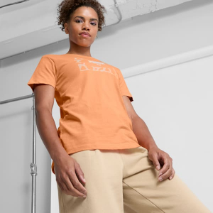 Cheetah Box Logo
