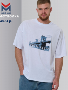 футболка мужская 2987-01