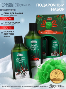 Подарочный набор новогодний: гель для душа, пена для ванны и мочалка, URAL LAB