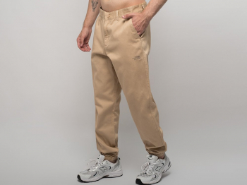 Брюки спортивные The North Face